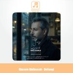 دانلود آهنگ قاسم عبدی نسب دلتنگی