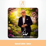 دانلود آهنگ حامد سلیمی بهار