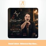 دانلود آهنگ حمید سلطانی میدونم دیگه منو دوست نداری