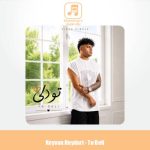 دانلود آهنگ کیوان حیدری تو دلی