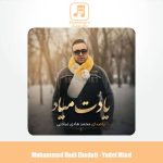 دانلود آهنگ محمد هادی عبادتی یادت میاد