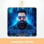 دانلود آهنگ محمد جوکار قلب یخی