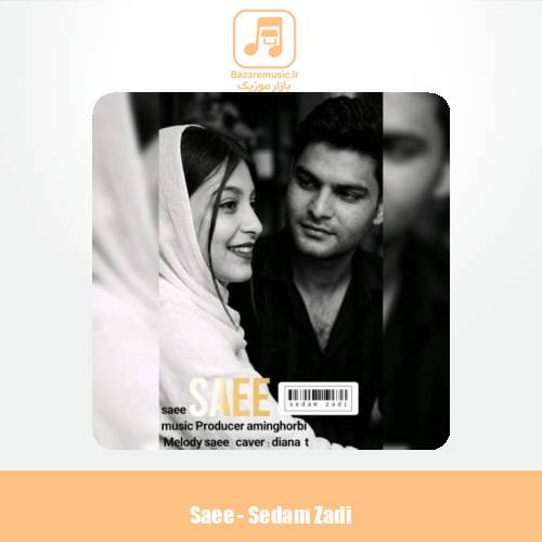 دانلود آهنگ ساعی صدام زدی