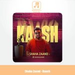 دانلود آهنگ شاها زند کاش