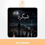 دانلود آهنگ آسای شب گرد