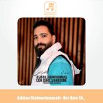 دانلود آهنگ اشکان شاه محمدی دور دور شبونه