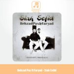دانلود آهنگ بهزاد پکس و فریاد سیاه سفید