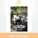 دانلود آهنگ دیجی سوشا پادکست Real Mix E02 (Dj Sosha)