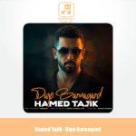 دانلود آهنگ حامد تاجیک دیگه برنگرد