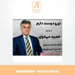 دانلود آهنگ حمید مهدوی تورو دوست دارم