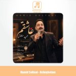 دانلود آهنگ حمید سلطانی عاشقتم