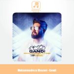 دانلود آهنگ محمدرضا خزایی گاندی