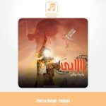 دانلود آهنگ پارسا بیگی لالایی