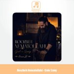 دانلود آهنگ روزبه نعمت الهی گل سنگ