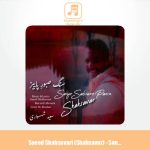 دانلود آهنگ سعید شهسواری سنگ صبورِ پاییز (شهسوار)