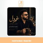 دانلود آهنگ سعید فراهانی غم دل