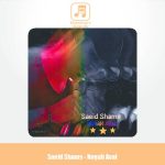 دانلود آهنگ سعید شمس نگاه اول
