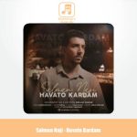 دانلود آهنگ سلمان ناجی هواتو کردم