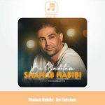 دانلود آهنگ شهاب حبیبی به یادتم