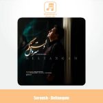 دانلود آهنگ سروش دلتنگم