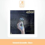 دانلود آهنگ گروه تارنوش احساس