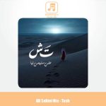 دانلود آهنگ علی سلیمی‌ نیا تش