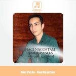 دانلود آهنگ امیر پاشا نگی نگفتم