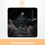 دانلود آهنگ امیر راهی شمال غمگین