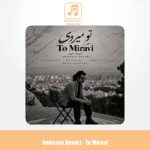 دانلود آهنگ امیررضا داوری تو میروی