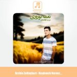 دانلود آهنگ امیرعرشیا ذوالفقاری نغمه نوروزی