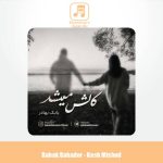 دانلود آهنگ بابک بهادر کاش میشد