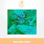 دانلود آهنگ بیژن صادقی خدارا
