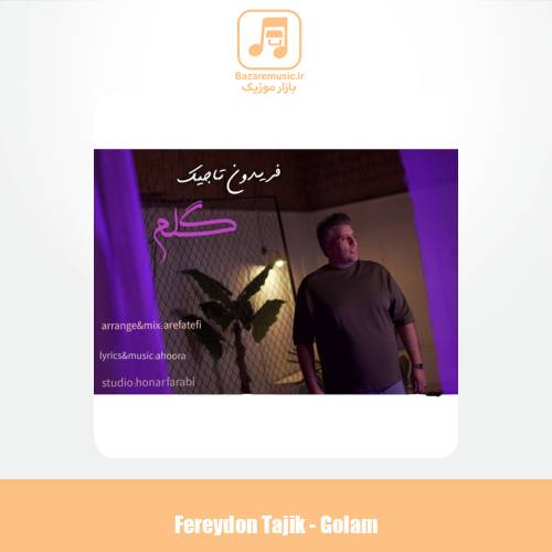 دانلود آهنگ فریدون تاجیک گلم