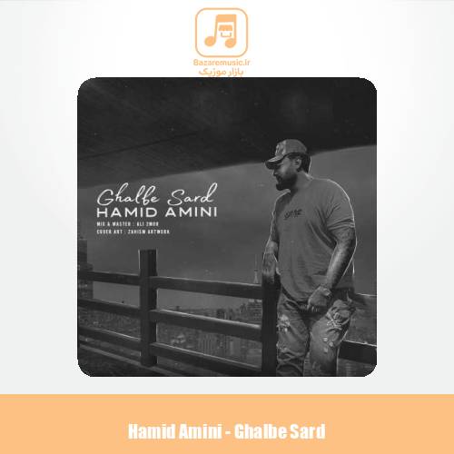دانلود آهنگ حمید امینی قلب سرد
