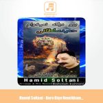دانلود آهنگ حمید سلطانی برو دیگه نمیخوام (دیجی فرزام صفری ریمیکس)