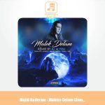 دانلود آهنگ مجید نادریان مالک دلم (ریمیکس)
