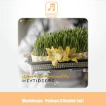 دانلود آهنگ میتی دیپ پادکست سه شنبه سوری