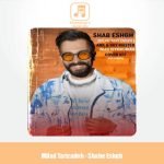 دانلود آهنگ میلاد تاری زاده شب عشق