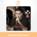 دانلود آهنگ محمدرضا صالحی ضربان