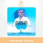 دانلود آهنگ مجتبی دل زنده سکه امید