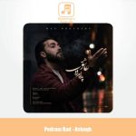 دانلود آهنگ پدرام راد عاشق