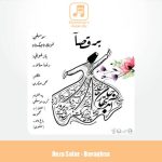 دانلود آهنگ رضا سالار برقصا