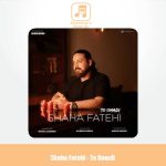 دانلود آهنگ شاها فاتحی تو اومدی