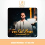 دانلود آهنگ شهاب رمضان تو دل برو