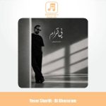 دانلود آهنگ یاسر شریفی بی قرارم